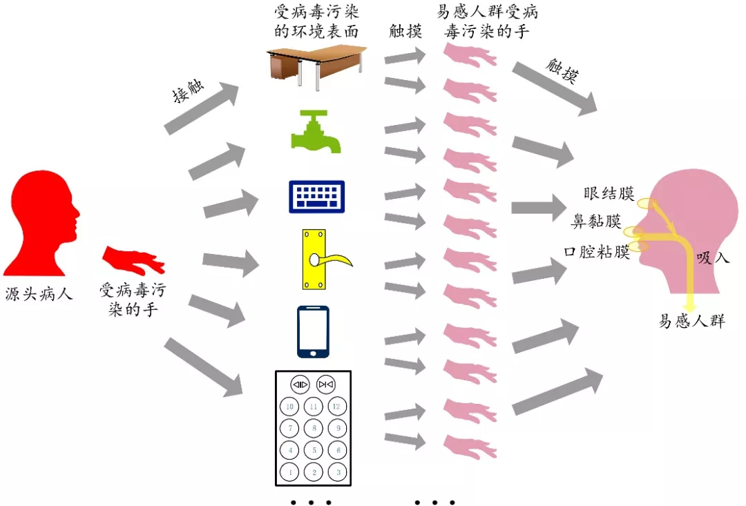 图4 接触传播