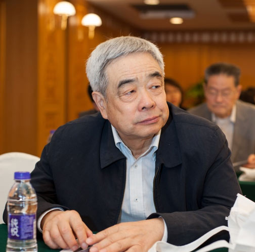 中国制冷空调工业协会常务副理事长樊高定