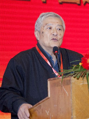 北京市建筑设计研究院顾问总工吴德绳教授做主题报告