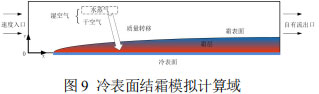 图9 冷表面结霜模拟计算域